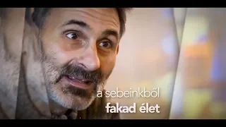 A sebeinken keresztül elfolyhat az élet, vagy fakadhat belőlük élet - Pálferi (részlet)