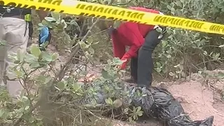 В Мексике снова нашли тайные могилы (новости)