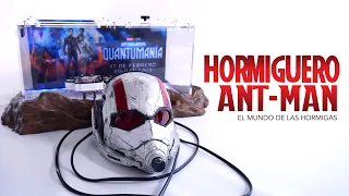 Marvel y Disney convierten el casco de Ant-Man en una granja de hormigas! 🐜