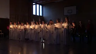 Montessoriskolans Lucia 2020