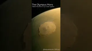 The Olympus Mons | AdoreWorks Official