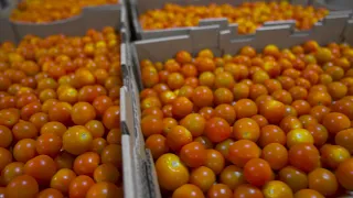 Second Harvest | Zero Hunger Zero Waste | Ralphs