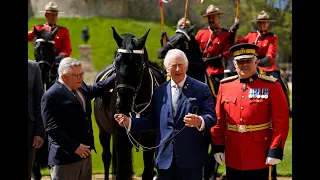 King Charles Gifted Horse as Head of Royal Canadian Mounted Police