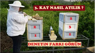 Kovana Üçüncü Kat Atma | Farklı ve Etkili Yöntem | Hızlı Petek Kabartma | 3rd floor into the beehive