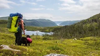 Journey Over 10,000 Year Old Fjords | Ep 1 - Bears & Wilderness - Man and Dog