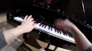 GoPro Hands View Beethoven Sonata No. 17 "Tempest" Lisitsa