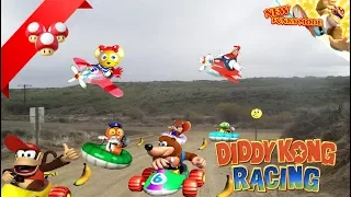 [Vinesauce] Vinny - Diddy Kong Racing Compilation