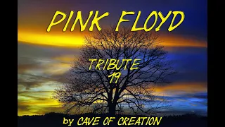 PINK FLOYD THE ENDLESS RIVER FULL ALBUM Tribute 19 Galaxy 6 by Cave of Creation