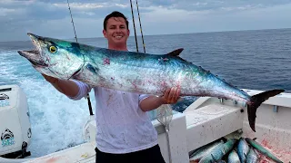 The Day of GIANTS... MONSTER Kingfish ( Commercial Fishing)