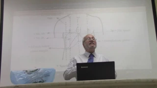 GIT module 29 (liver , part 4 , surface anatomy ) , by Dr. Wahdan