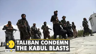 Reports: 28 Taliban members among those killed | Kabul Airport Blast | Latest World English News