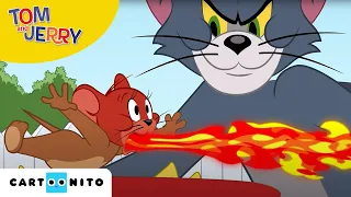 Tom și Jerry | Valul de căldură | Cartoonito