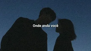 Vinícius de Moraes - Onde Anda Você (Legendado)