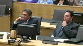 Jodi Arias Trial - Day 13 - Jodi on the Stand - Part 4