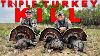 Turkey Hunting | Triple Kill!