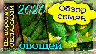 Обзор семян огурцов, томатов и других овощей на 2020 год.