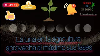 FASES DE LA LUNA EN LA AGRICULTURA/ Que labores realizar- cultivos adecuados en cada ciclo lunar