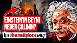 Einstein'ın Beyni Neden ve Nasıl Çalındı?