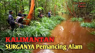 Mancing Menelusuri Hutan Kalimantan Timur || Sungai Hitam.