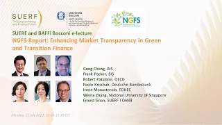 SUERF Baffi Bocconi webinar - NGFS report on transparency in green finance   - 20220711