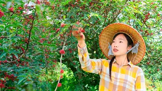 Red pepper and amazing Chinese sturgeon｜ wild girl