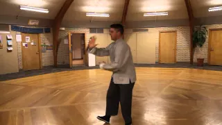 Fast Tai Chi Chuan  ~ Yang Style