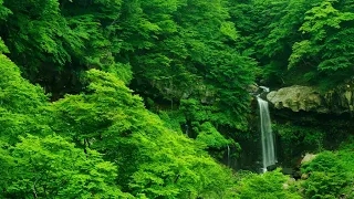 마음이 편안해지는 시간️🎵침실에서 듣는 수면음악,잠잘때 듣는 음악,불면증 치료 음악 h7