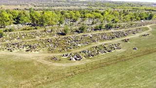 Рубцовск. Поле за городом. Съемка с дрона. Оператор Матвей Дубоенко.