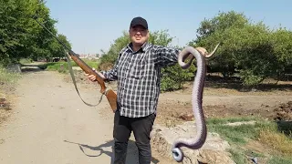 Hunting a fierce snake with a gun