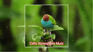 Innocence. Celtic Atmosphere Music - Beautiful and magical piano & violin by Enrico Fabio Cortese.