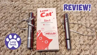 The Best Laser Pointer Cat Toy Ever!