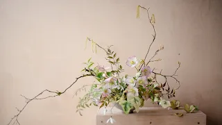 Lenten roses for Valentine's - how to condition hellebores for flower arranging