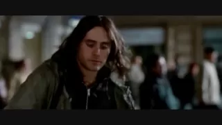 Mr. Nobody - At Every Street Corner