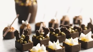 Créations chocolat et fruits secs avec Philippe Bertrand MOF et Martin DIEZ