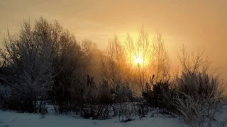 И. Тургенев - Э. Абаза. "УТРО ТУМАННОЕ"... (Фото Ал-дра Яценко (Магнитогорск) - Поёт Борис Штоколов)