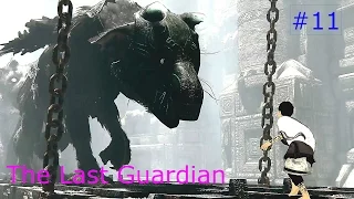 ☀The Last Guardian☀ Chapter 11