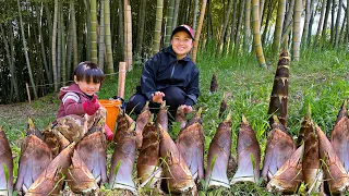 Digging bamboo shoots without knowing how to get yelled at by my husband & the end #872