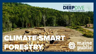 Maine's North Woods: Carbon Storage and Climate-Smart Forestry