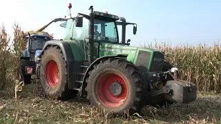 Mais hakselen en inkuilen bij rosékalverhouderij Folbert Vriezenveen - deel 1 (2017)