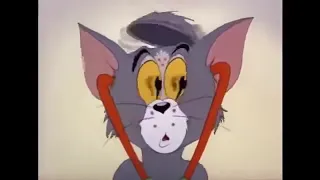 Tom and Jerry   Polka Dot Puss   YouTube