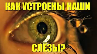 Как устроены наши слёзы?