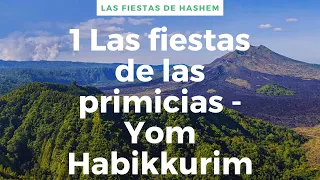 Las fiestas de Hashem  12 -  La fiesta de las primicias - Yom Habikkurim