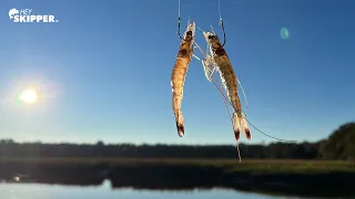 Double Your Catch Or BIG MISTAKE? TWO Live Baits at Once! (Catch and Cook)