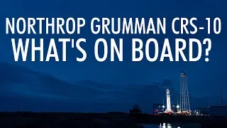 Northrop Grumman CRS-10 Mission to the Space Station: What's On Board?