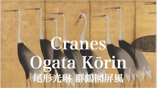 Cranes by Ogata Kōrin 尾形光琳《群鶴図屏風》(Voice:English 日本語字幕)