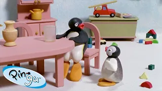 Pingu Around the House | Pingu - Official Channel | Cartoons For Kids