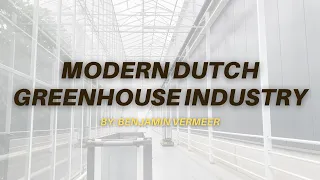 Modern Dutch greenhouse industry