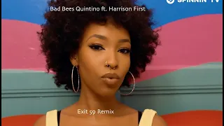 Bad Bees - Quintino ft. Harrison First (Exit 59 Remix)