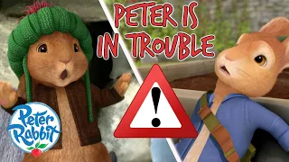 ​@OfficialPeterRabbit - Peter Rabbit Is in Trouble! ⚠️ 🐇 ⚠️ | That Was Close! | Cartoons for Kids