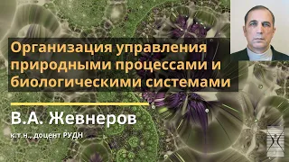 Организация управления природными процессами и биологическими системами / В.А. Жевнеров